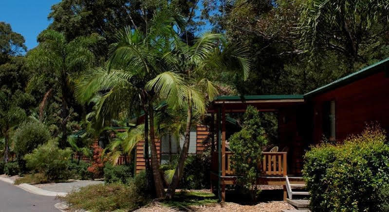 Hotel The Palms At Avoca Avoca Beach Esterno foto